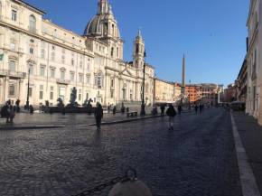 Navona Nest